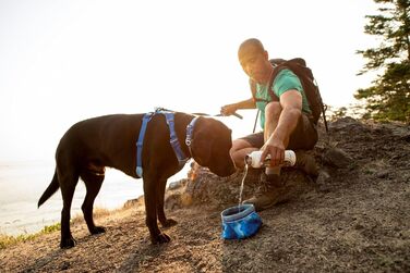 Ruffwear Quencher: Портативний складний миска для води для собак, Ruffwear, Spring Mountains M