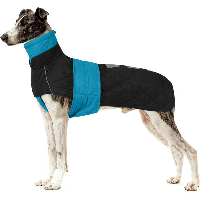 Куртка для собак породи Віндгаунд Saukis Mante, флісова підкладка, тепла, для активного відпочинку, XXL, блакитна
