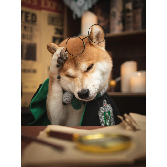 Костюм для собак та котів з окулярами та краваткою, косплей, Slytherin, розмір M