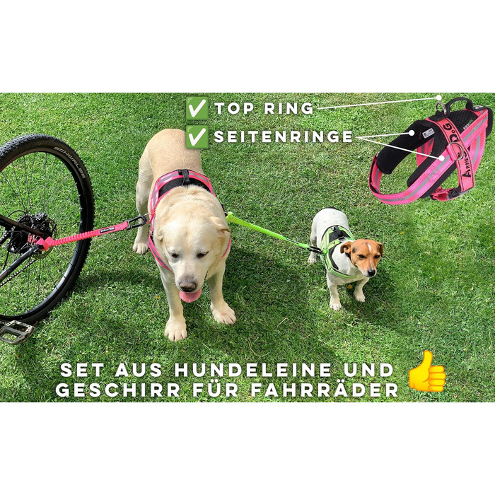 Повідок і шлея для собаки на велосипед BIKE AND DOG, шлея з 3 кільцями (2 бокові), комплект з 2 спеціальними велосипедними повідками, запатентовано