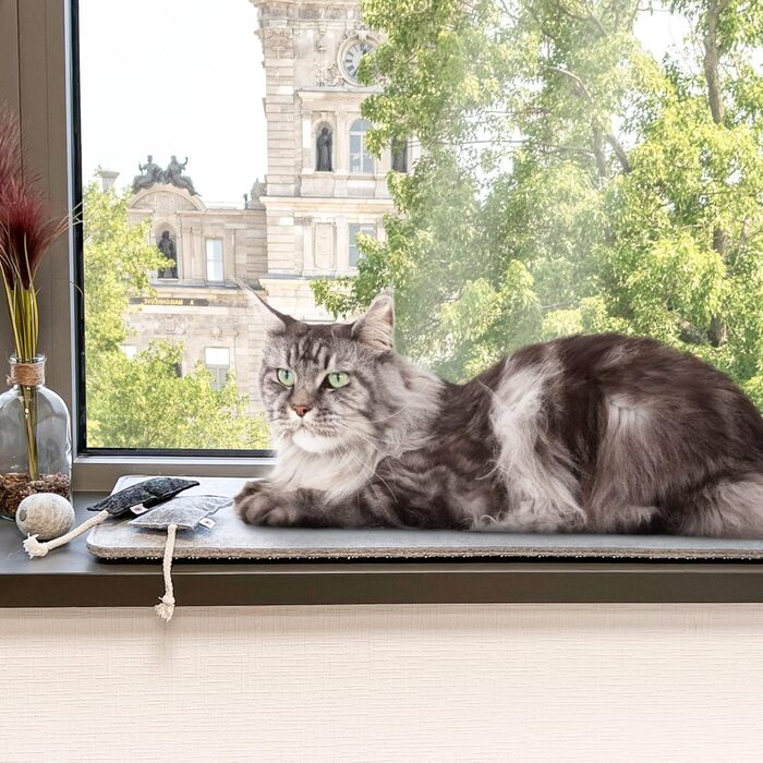 CanadianCat Company лежак на підвіконня для котів, фетровий, м'яка підстилка, світло-сірий, розмір S 60x26 см