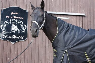 Зимова термоковдра для коня time4horses, високий комір, 200 г, 1200 ден, 125 см, водонепроникна аутдор ковдра