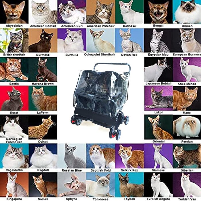 Дитяча коляска Doppel Kinderwagen Easy Walk - чорна, фіолетова, з дощем, для тварин та котів