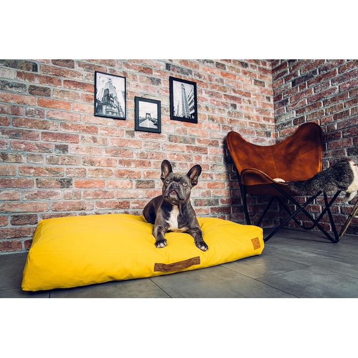 Ортопедичне ліжко для собак Roth & Bock з м'якої піни, сертифіковане Oeko-Tex Standard 100, покриття з водонепроникного канвасу, жовте, розмір S