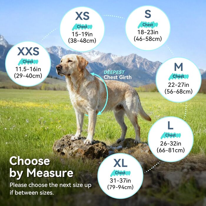 Тепла куртка VIVAGLORY для собак на зиму, флісова жилетка з застібкою-липучкою та отвором для повідка, світловідбиваюча, регульована, S, Бежевий