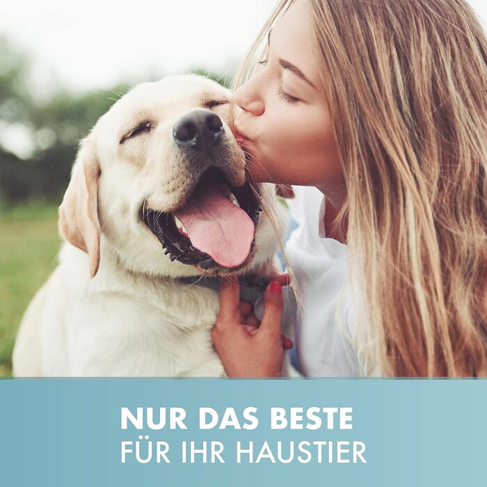 Крісло-лежанка для собак, миється, чорне, розмір M, 100 x 75 см