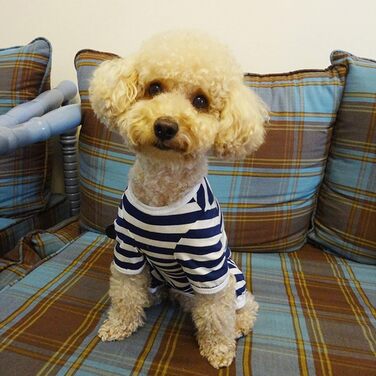 Захисний боді для собак після операції, боді для собак після кастрації/стерилізації, захисний одяг для собак з відкритими лапами, з отвором для рани, з нейлоновою застібкою, для собак з алергією, лисістю, післяопераційний одяг, блакитно-білий в смужку (S)