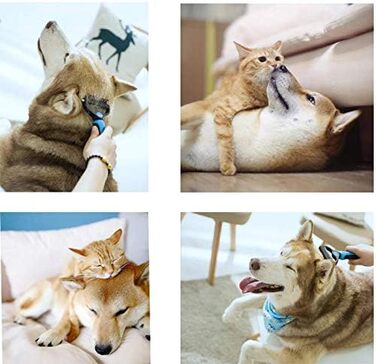 Щітка для вичісування підшерстка собак та котів з середньою та довгою шерстю - проти ковтунів та підшерстка (Блакитна)