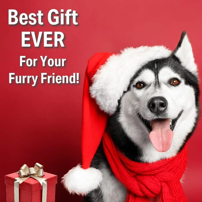 Портативна пляшка для собак PANJAL, 600 мл, 4-в-1, витокозахисна, без BPA, з дозатором відходів, відділенням для ласощів, фільтром – для прогулянок, походів, подорожей, блакитна