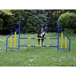 Набір для аджиліті для собак PROCYON - професійний тренувальний комплект, відповідний стандартам FCI