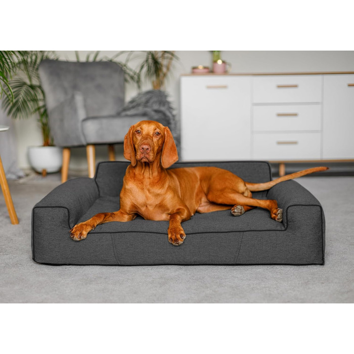 Ліжко для собак Glamour New чорне Inari, знімний чохол, розмір M 78x53 см, для малих і середніх порід