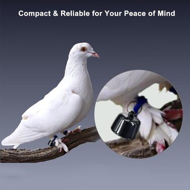 GPS трекер для тварин Mini Haustierortungsgerät: сумісний з iOS та Android, глобальна локація без підписки, для собак та котів, водонепроникний, легкий (3 шт.)