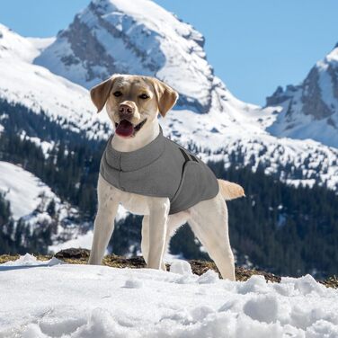 Теплий зимовий пуловер для собак Queenmore з флісу, тепла куртка для собак, жилет для такси, чихуахуа, бульдога (S, оливковий)