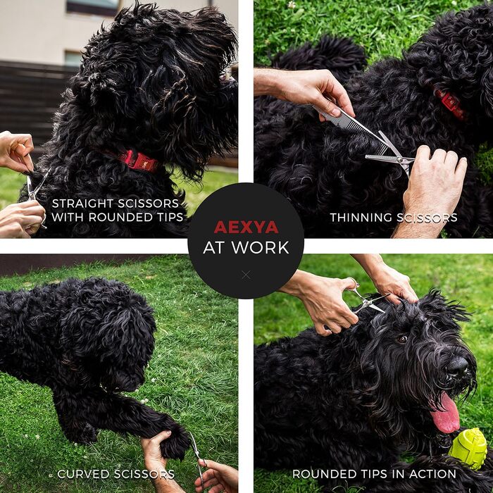 Набір професійних ножиць для грумінгу собак AEXYA Premium Lady 3SR, нержавіюча сталь, прямі та вигнуті леза для собак та котів