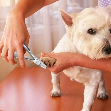 Ножиці для стрижки кігтів собак - міцні, з нержавіючої сталі | Для великих та середніх порід собак, котів, домашніх тварин, у дорогу, для використання в приміщенні та на вулиці