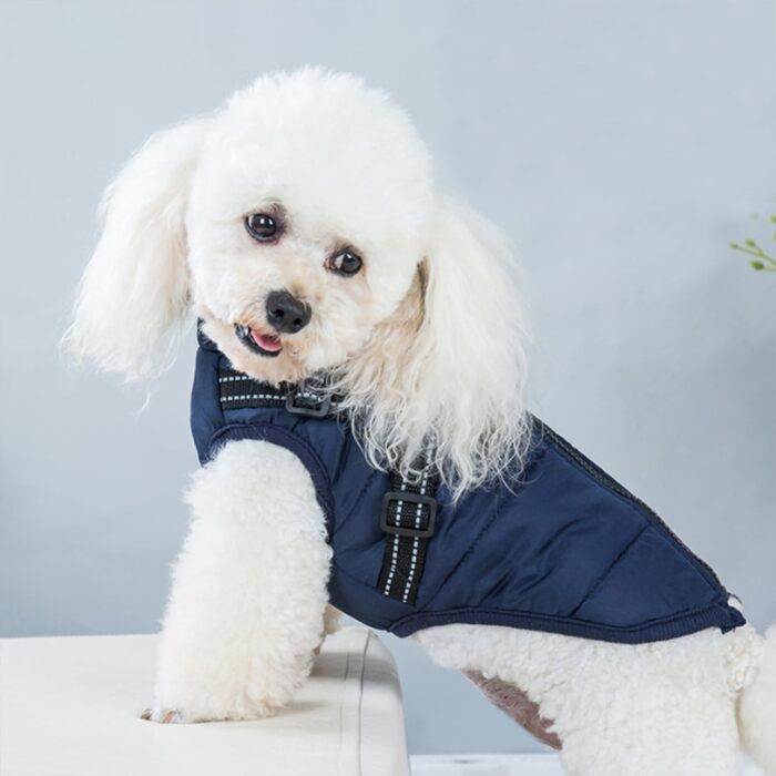 Водонепроникний жилет для собак на осінь/зиму, для цуценят та середніх порід, відбиваючий, з кріпленням для повірця, блакитний