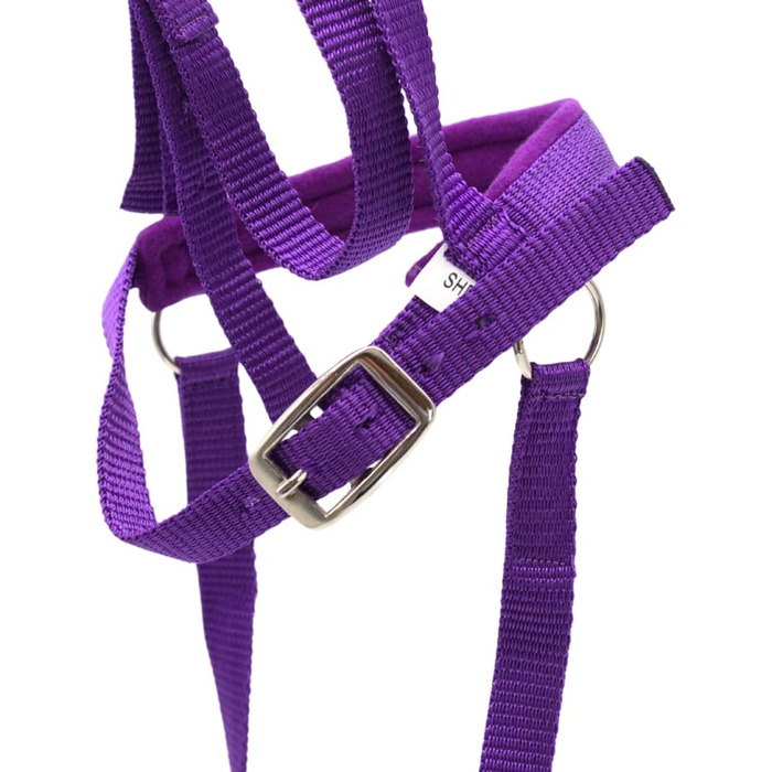 Зауваження для іграшкових коней PFIFF 'Lotty' (103126), універсальний розмір, фіолетовий