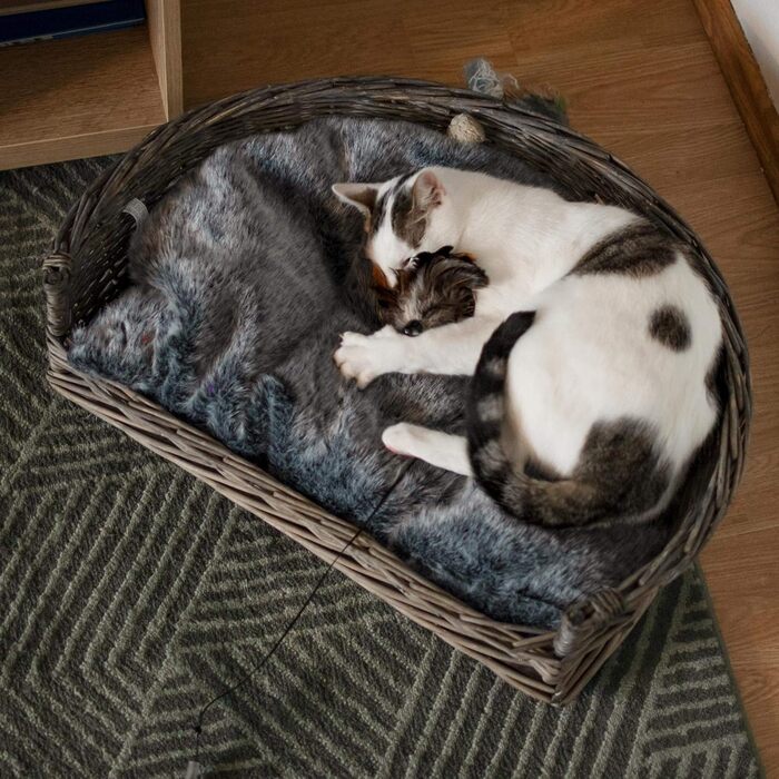 Ліжко-кошик для собак і котів UNUS з лози з подушкою, сірий, 61x44,5x15,5 см, для великих і малих тварин