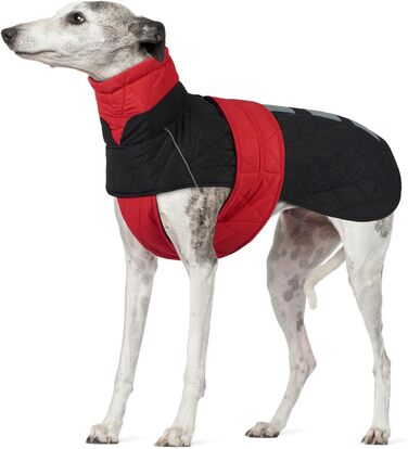 Зимовий теплий дощовик для собак Віндхунд (Whippet) - червоний, з відбиваючими смугами