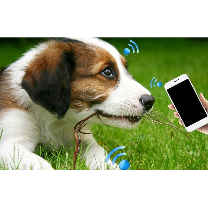 Міні-GPS GSM локатор для домашніх тварин (собак та котів)