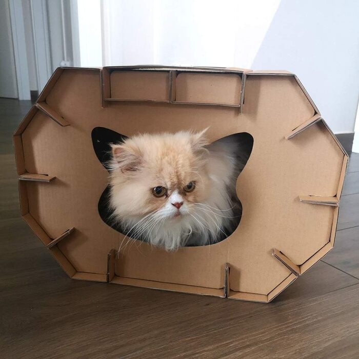 Котячий когтетоп Croci з картону, 2-ярусний, для дорослих котів, 50x38x35 см, 1 шт.