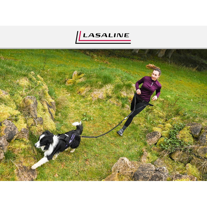 LASALINE Шлея X-Back для собак, для канікросу, їзди на велосипеді, дожскутеру та санках, чорна з неоново-жовтим