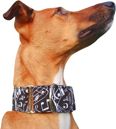 Нашийник для собак CandyPet® Martingale Music, S, ширина 4 см, розмір шиї 25-35 см