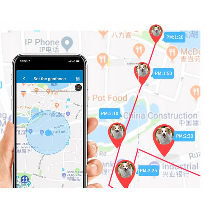 GPS-нашийник локатор TK911 для собак та котів з підтримкою SOS та мобільного додатка