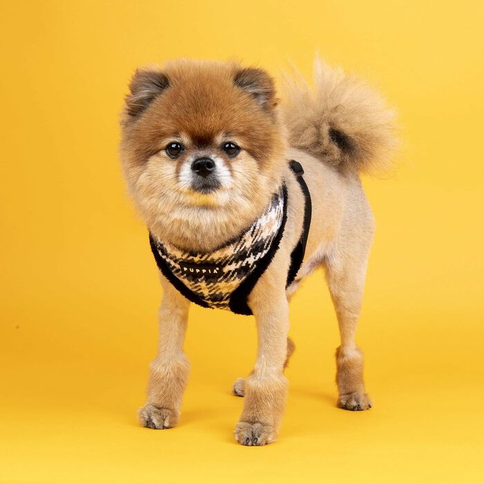 Шлея Puppia Kellen A чорна, розмір S, 800 г — для собак