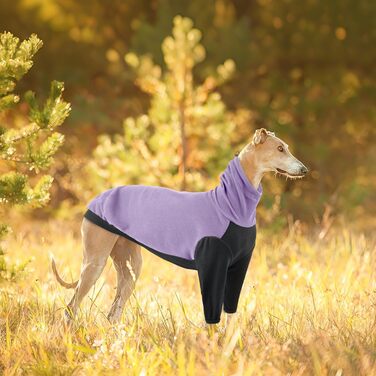 Тепла флісова роба для віндхундів (гріхунди), флісова куртка для віндхундів, одяг Gago для зими, зручний стиль для віндхундів, що мерзнуть (Армійний зелений, фіолетовий, S)