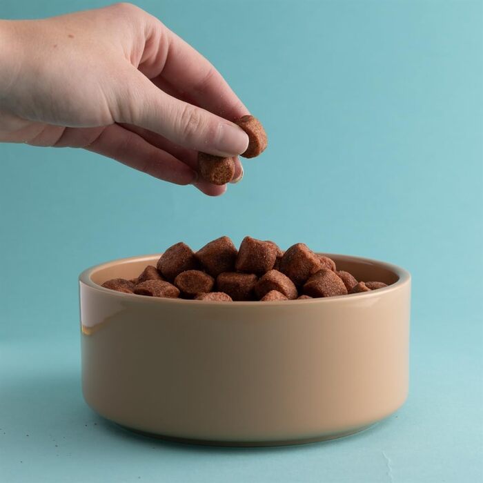 Миска для собак Mason Cash Colour Mix, 20 см, 1 шт.