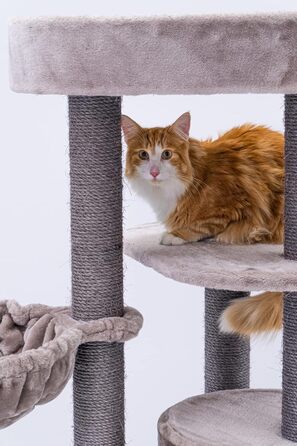 Котячий дерев'яний комплекс Petrebels Charlotte 134 см, преміум-якість, з гамаком, лежаком та будиночком, колір капучино