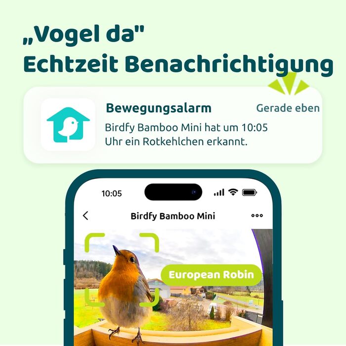 NETVUE Birdfy бамбуковий міні годівничка з камерою для спостереження за птахами, сонячна батарея, автоматичний запис, сповіщення в додатку
