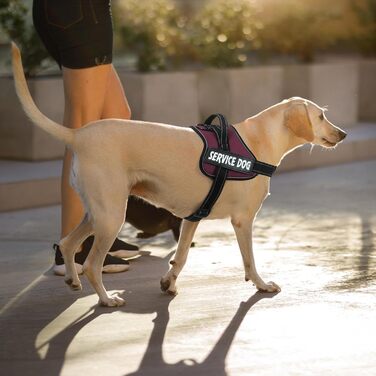 Шлейка для собак Voopet для емоційної підтримки, професійний сервіс, для собак маленьких, середніх та великих порід, світловідбиваюча, дихаюча та регульована, запобігає тязі/нудоті, ESA (XX-Large (Pack of 1), Бордовий)