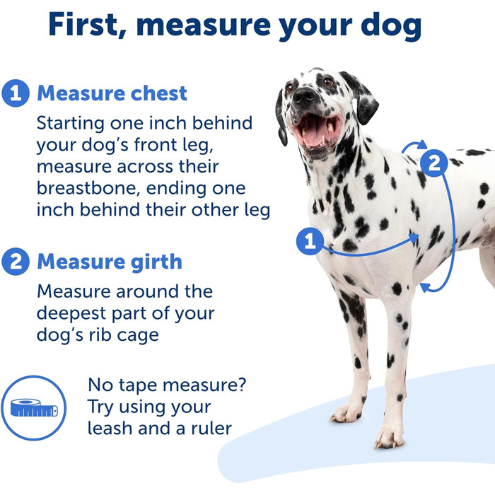 Шлея для собак PetSafe Easy Walk, анти-тягова, регульована