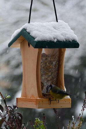 Годівниця для птахів Dobar® 90040FSCe Silo - годівничка з масиву дерева для саду, тераси, балкону - 22 x 25 x 28 см, зелена