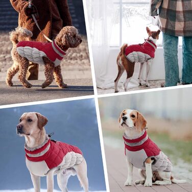 Водонепроникний зимовий теплий одяг для собак: куртка, жилет, пуховик, светр з кільцями D (червоний, 2XL) XXL Червоний