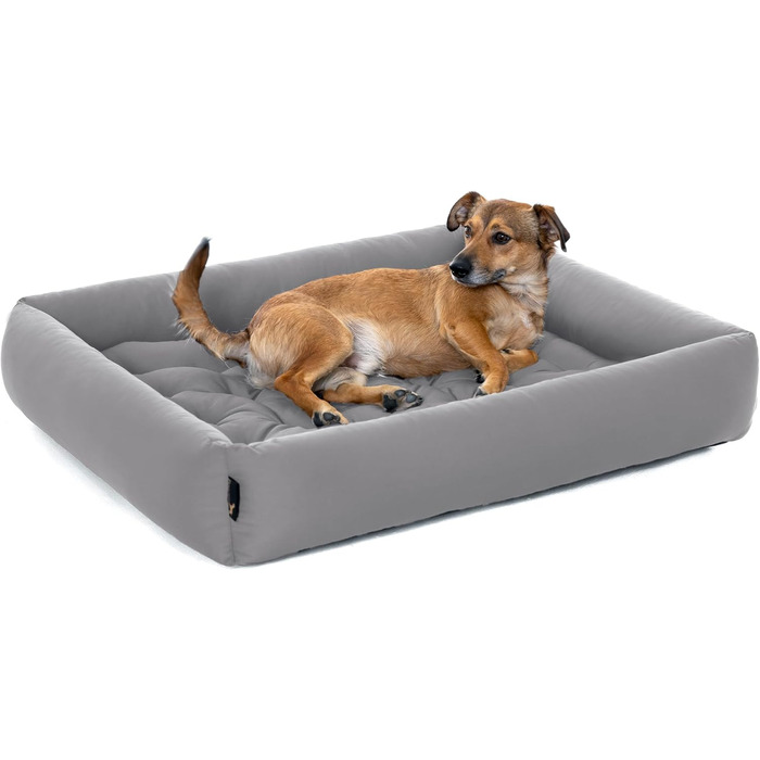 Ортопедичне ліжко для собак середніх порід - Pointer, знімний матрац, миється до 95°C, стійке до подряпин та укусів, Made in Germany (L - 80x70 см, світло-сірий)