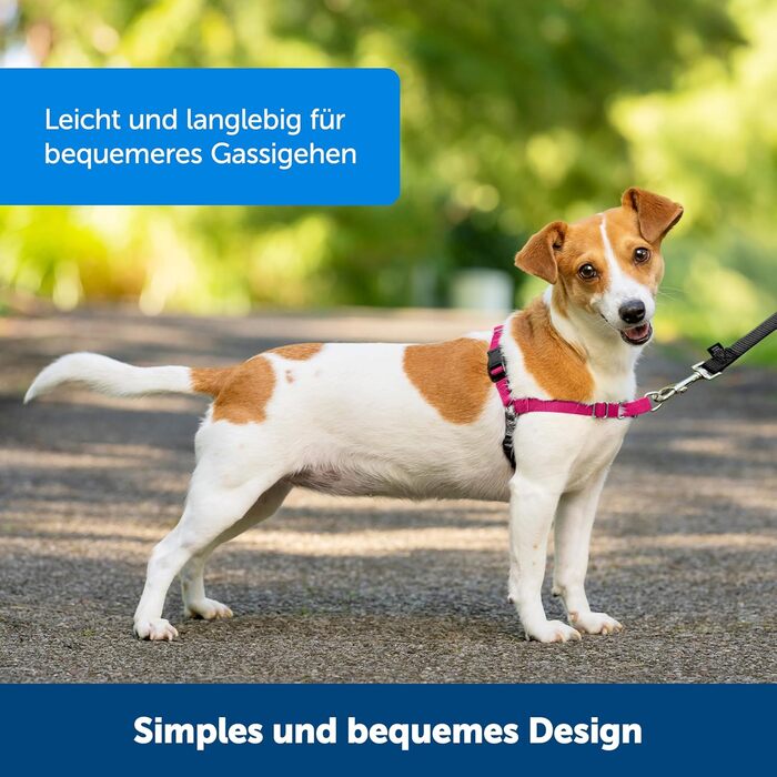 Шлейка для собак PetSafe Easy Walk, середній/великий розмір (Чорний, S)