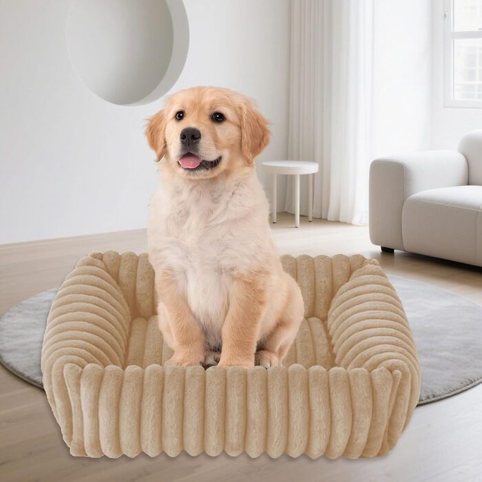 Крісло-ліжко для собак маленьких та середніх порід, 50x48x15 см, миється, кошик з антиковзким покриттям, бежевий/кремовий колір