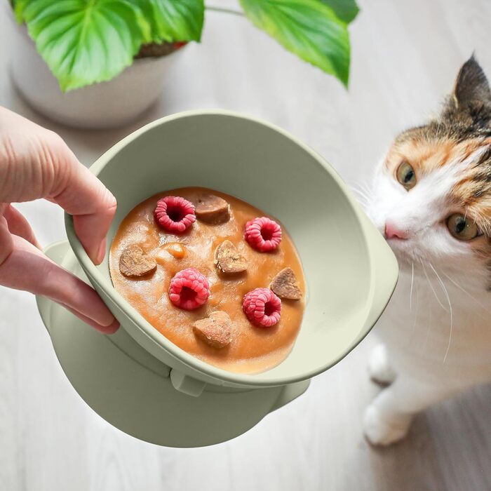 Підвищений миска для кота з регульованим нахилом ne&no® | Миска для кота, піднята | Миска для кота, зелений колір