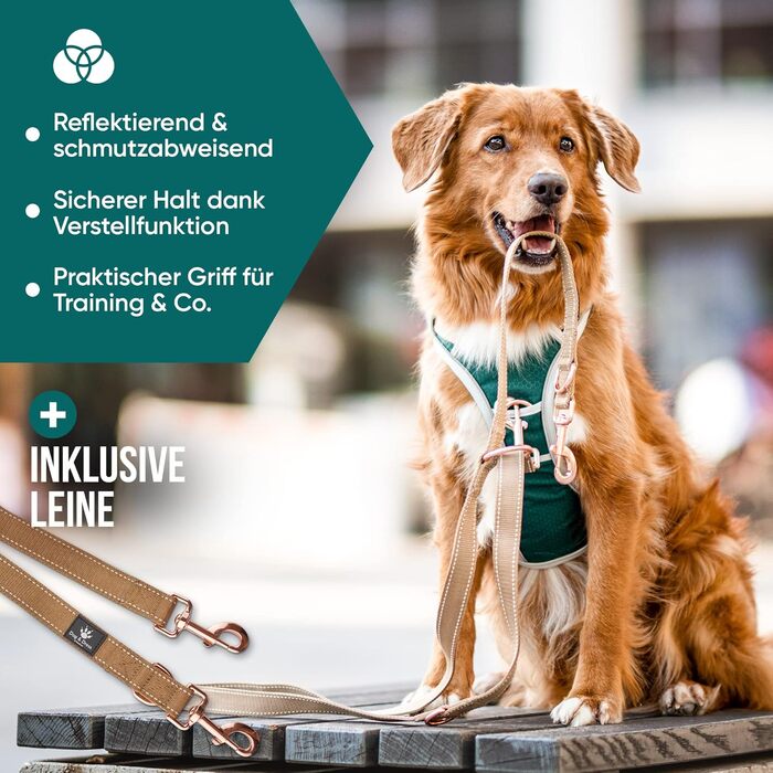 Набір повідка та шлейки для собак – дихаючий, регульований, з м'якою підкладкою та світловідбиваючими елементами – для великих та середніх собак (зелений, S (51-66 см обхват грудей))