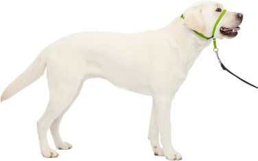Нашийник для дресирування PetSafe Sanfter Führer (яблучно-зелений)