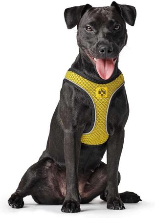 Шлея для собак HUNTER HILO COMFORT BVB, 3D-сітка, світловідбивна, XS-S, жовта, 40-46 см