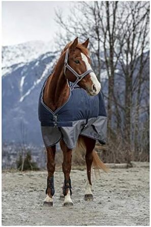 Зимова попона для коня Equi-Theme 50г, 600D TYREX, синя/сіра