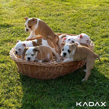 KADAX Лежак для собак і котів з лози, натуральний кошик для домашніх тварин, ліжко для собак і котів, розмір 20x85x67 см