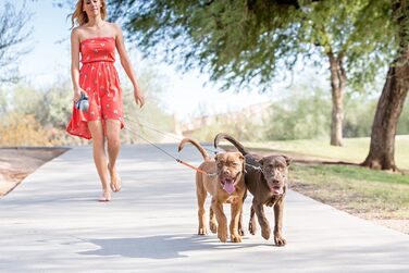 Повідок-рулетка WIGZI Dual Doggie 3.0 з гелевою ручкою, сірий, для двох собак