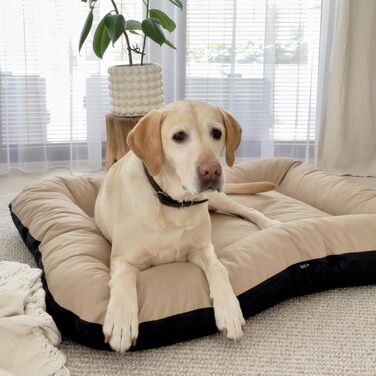 Клео - лежанка для собак середніх розмірів, 90x70 см, бежева, знімний чохол, водонепроникна, для собак великих порід