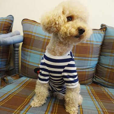 Захисний боді для собак після операції, боді для собак після кастрації/стерилізації, захисний одяг для собак з відкритими лапами, з отвором для рани, з нейлоновою застібкою, для собак з алергією, лисістю, післяопераційний одяг, блакитно-білий в смужку (S)