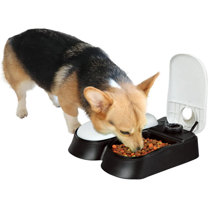 Автомат для котячого корму PAWISE: програмований диспенсер для вологого корму з таймером, безпечний та зручний